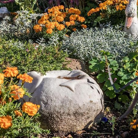 Tonigbauernhof Blumenwiese Скена Экстерьер фото